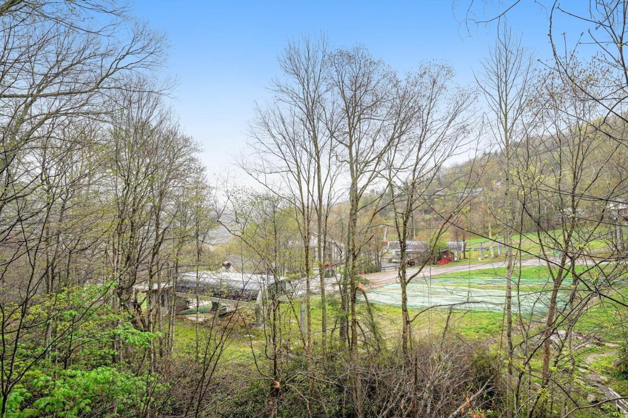 Appartamento Bee Branch 27 Sugar Mountain Esterno foto